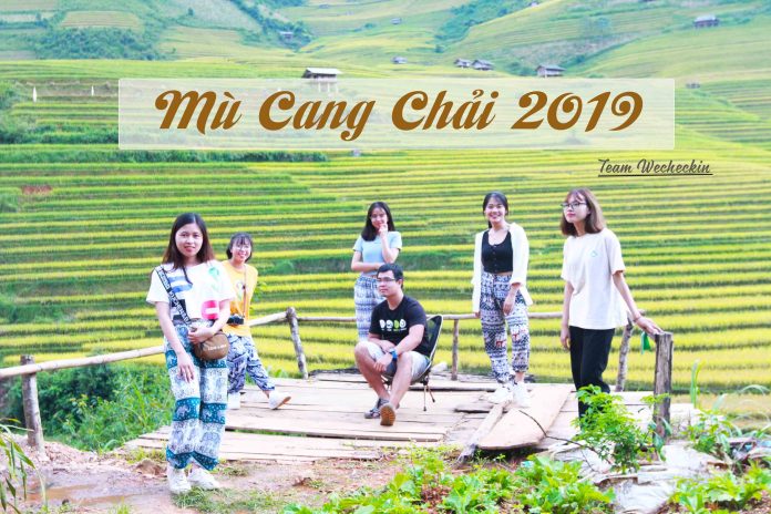 Mùa vàng Mù Cang Chải 2019 có gì