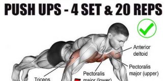 Classic Push ups Workout