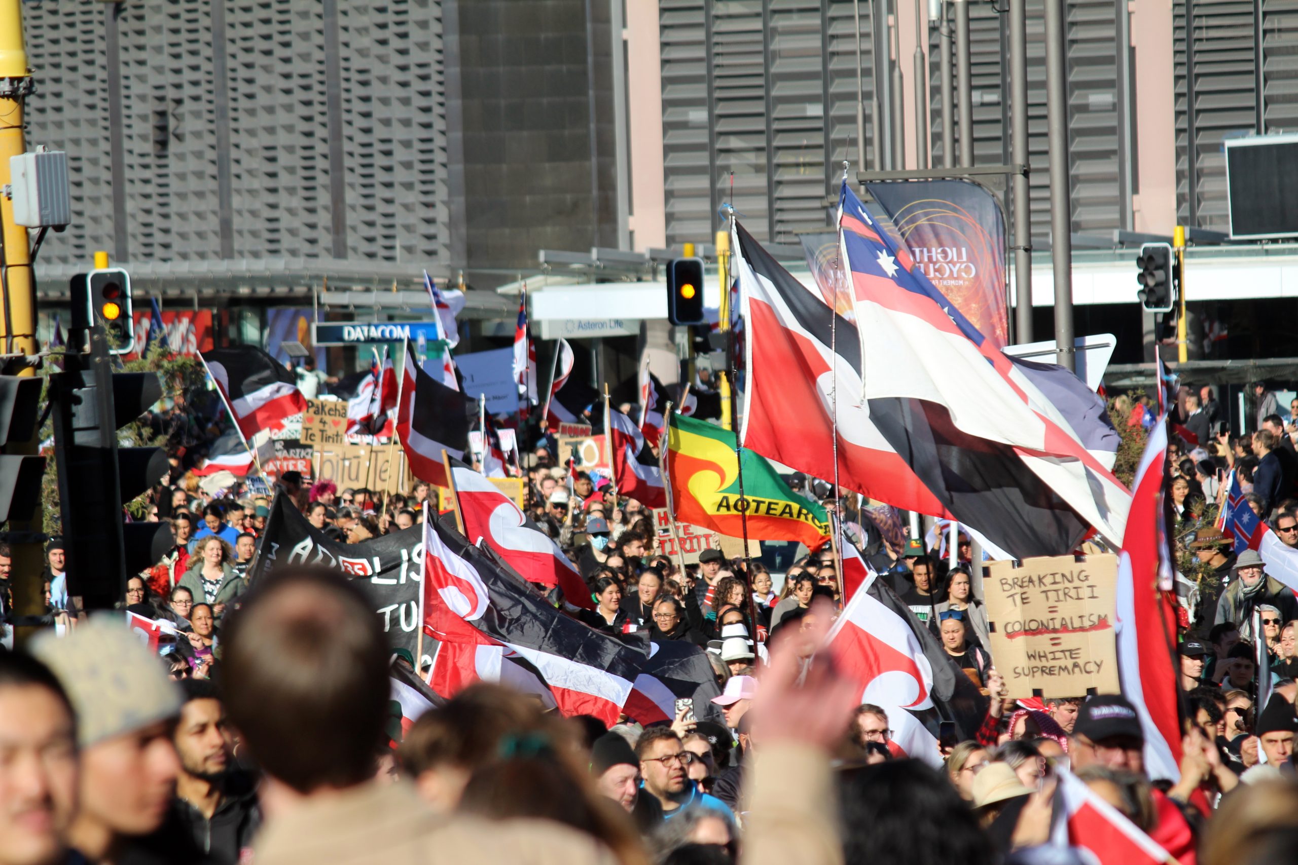 a sea of Māori flags