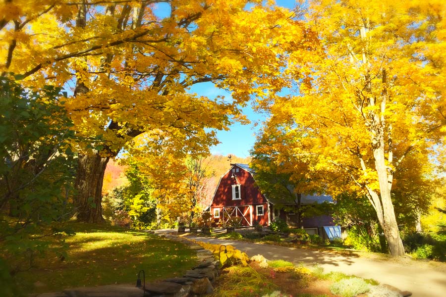 10 Things to do in Vermont This Fall