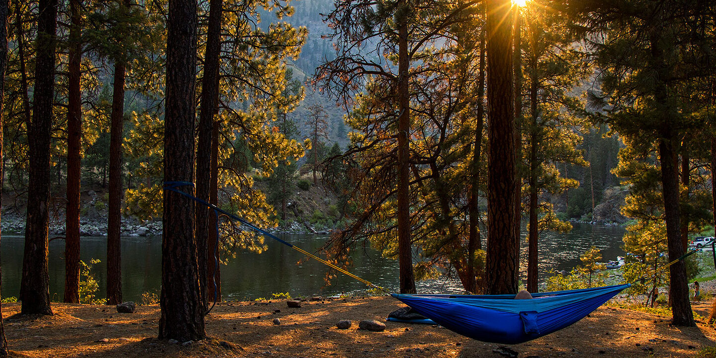 Person laying in a hammock in the woods along the river with the sun peeping through the trees