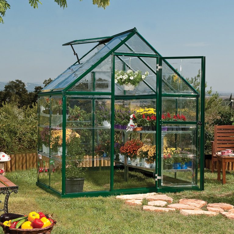 6'x4' Palram Canopia Harmony Small Greenhouse with polycarbonate panels for optimal plant growth and durability.