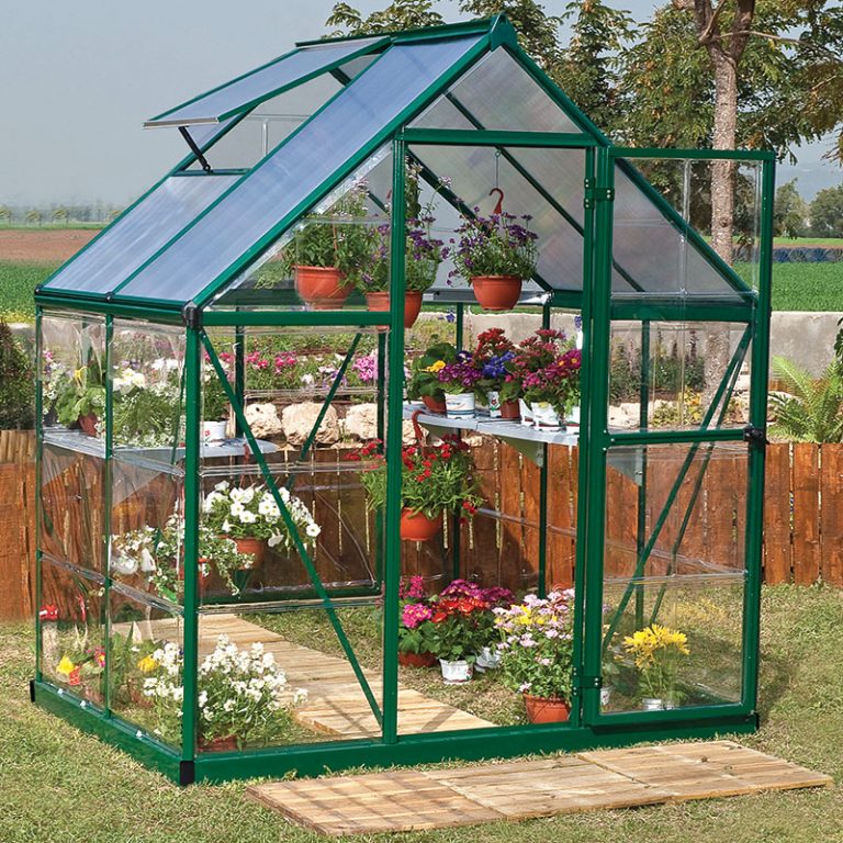 6'x4' Palram Canopia Hybrid greenhouse with polycarbonate panels for optimal plant growth and durability.