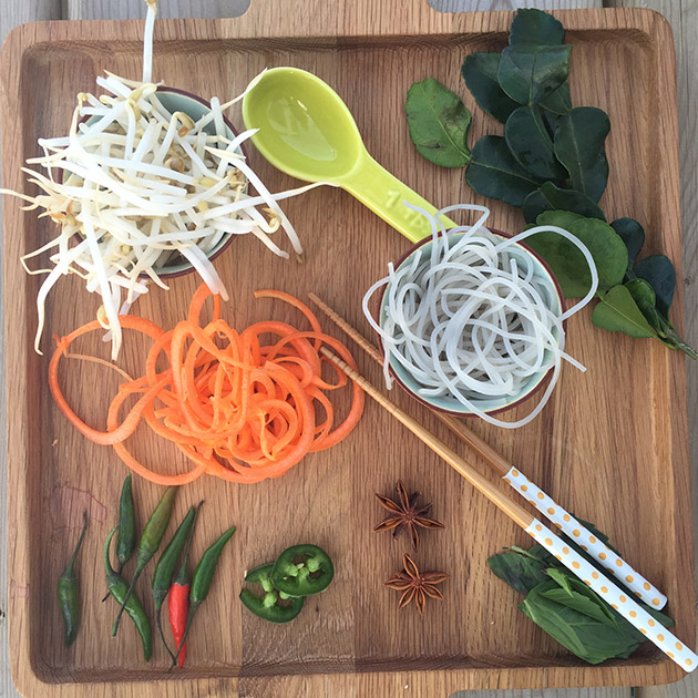 gluten free dairy free pho recipe