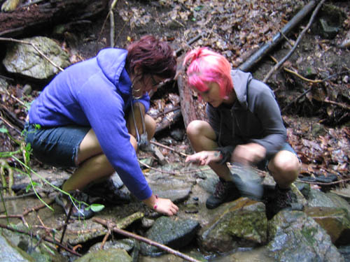 Friends of Wheretofindrocks.com collecting garnets