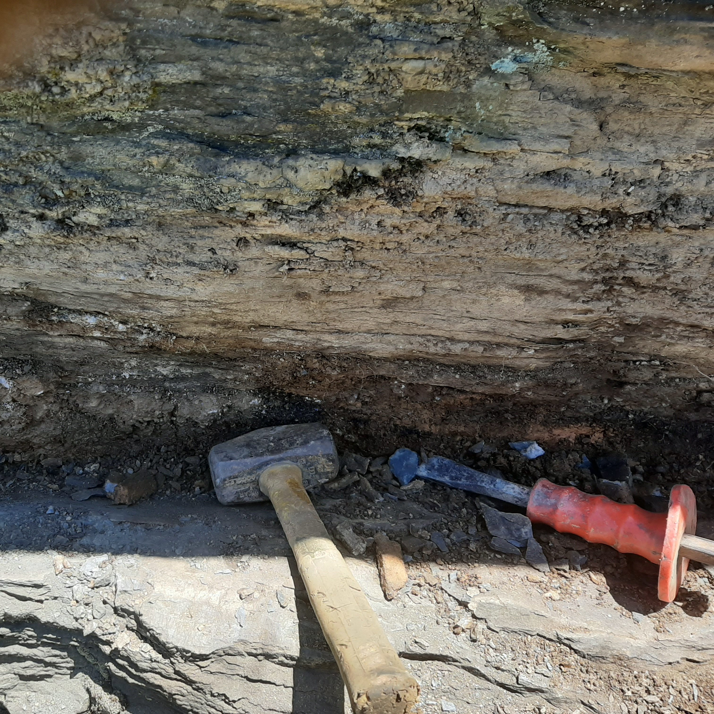 Exposed quartz veins in mud