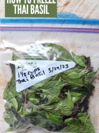 thai basil leaves in freezer bag