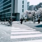 People Crossing Pedestrian Lane