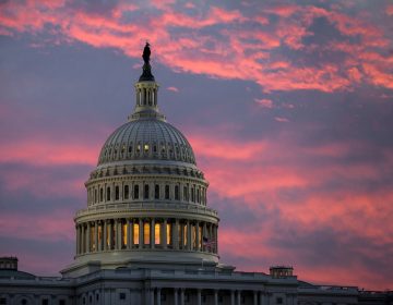 The U.S. Capitol is seen at dawn in Washington