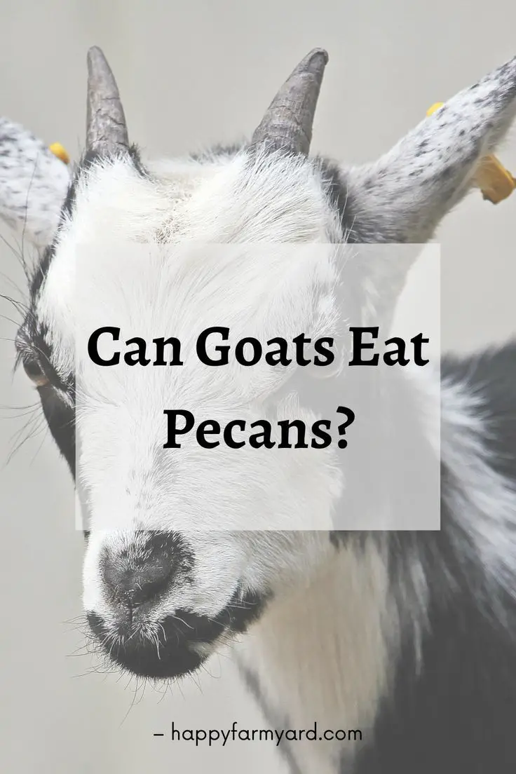 Can Goats Eat Crepe Myrtle - widerwild.com