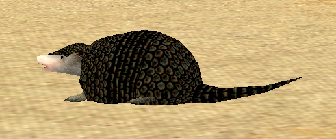 Young Black Armadillo.png