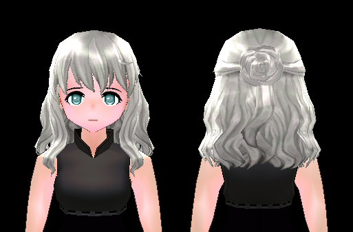 Rosy Bun Hair Beauty Coupon (F) Preview.png