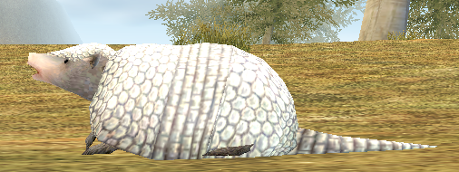 White Armadillo.png