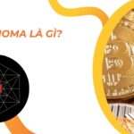 Anoma là gì? Bước đột phá trong kiến trúc blockchain và tương lai của ứng dụng phi tập trung