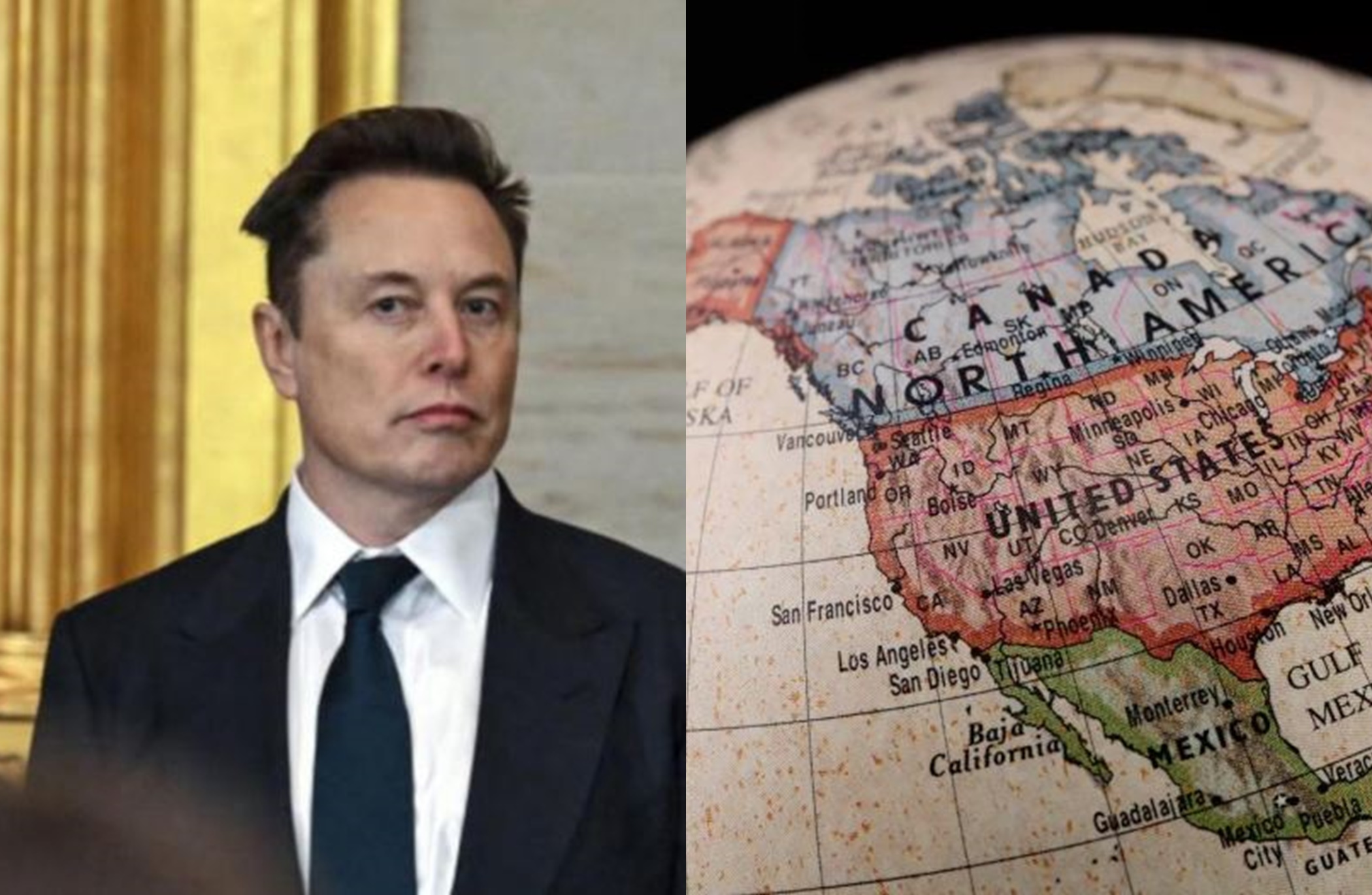 Elon Musk proposes new name for the English Channel After Trump renames ...