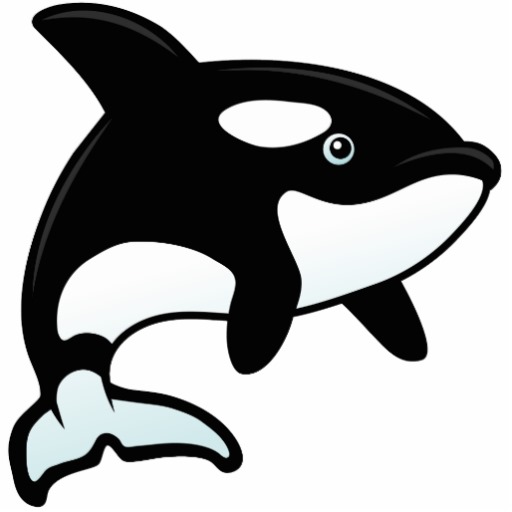 Orca clip art 4