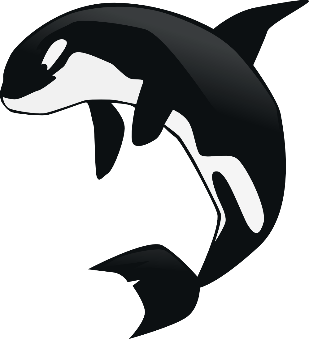 Orca clipart 4