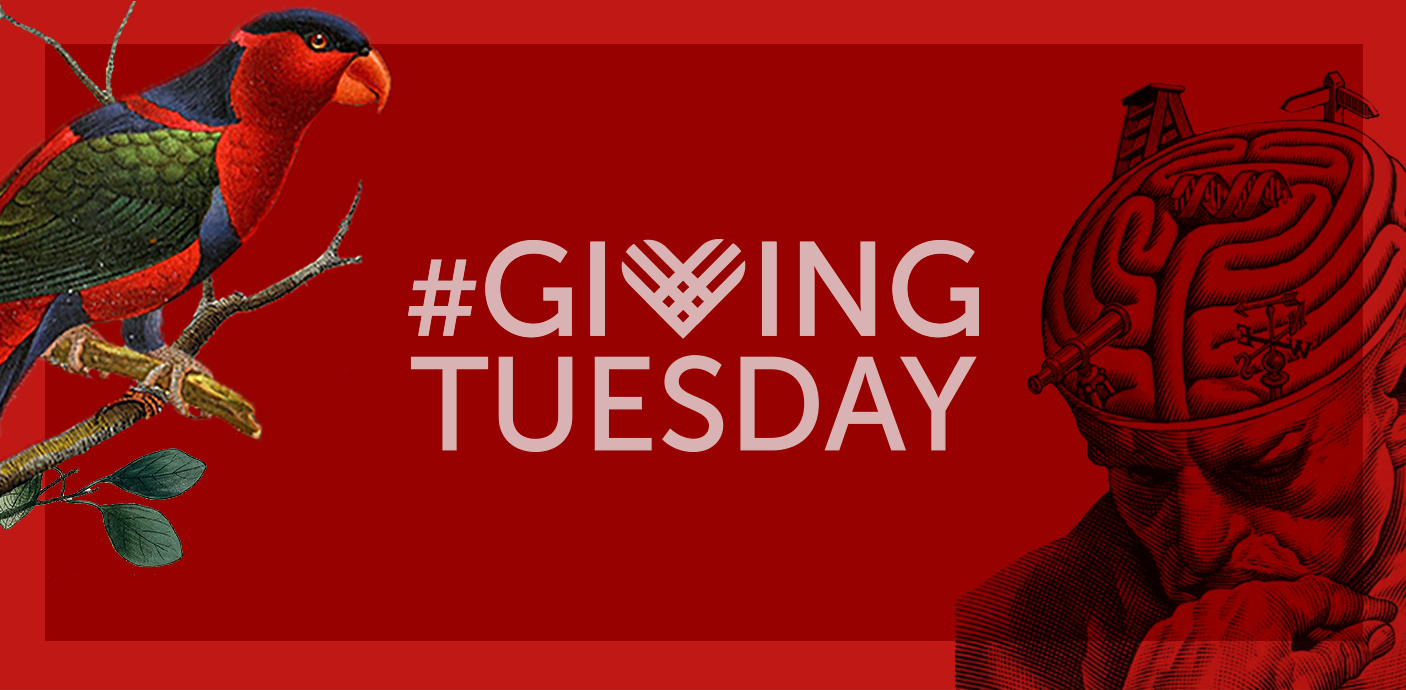 Giving Tuesday logo banner