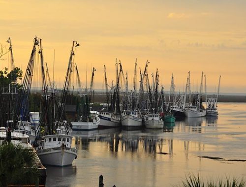 Georgia gold coast bike tour boats