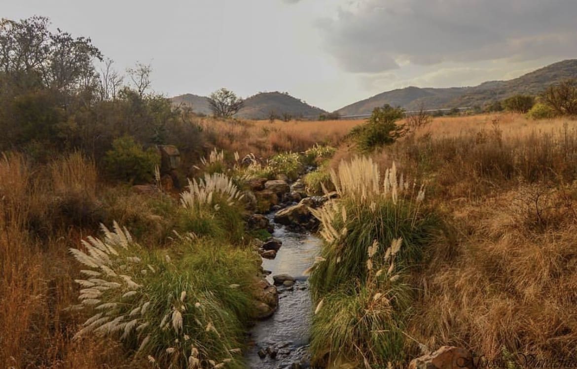 Klipriviersberg Nature Reserve