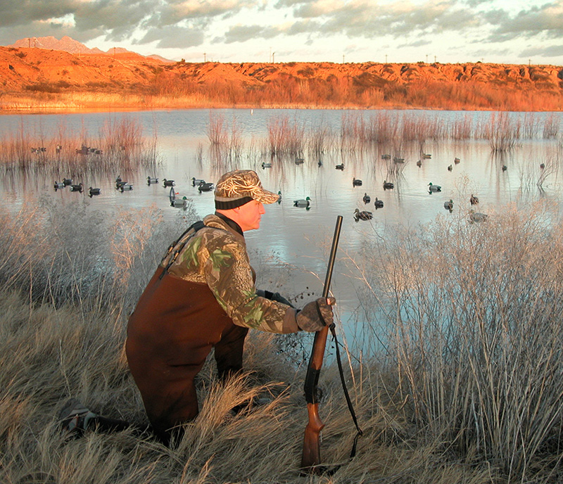 Waterfowl hunting for ducks at New Mexico Game & Fish managed La Joya Wildlife Area near Socorro, New Mexico.