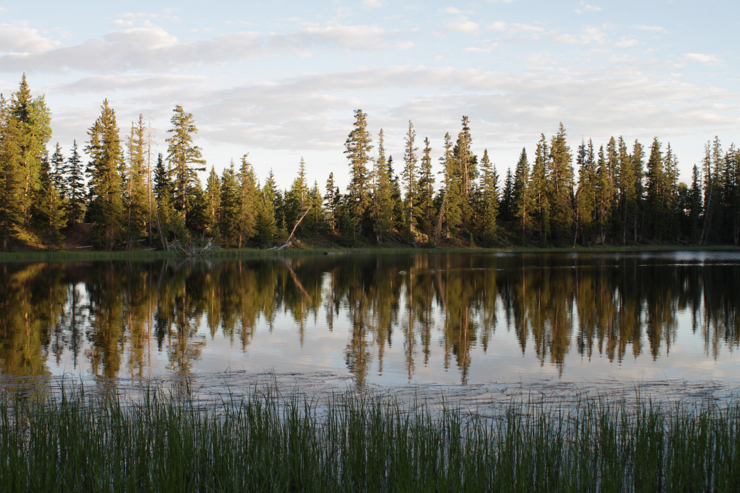 Best Nature Zoom Virtual Backgrounds