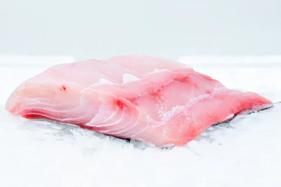 Fresh raw fish fillet on ice.