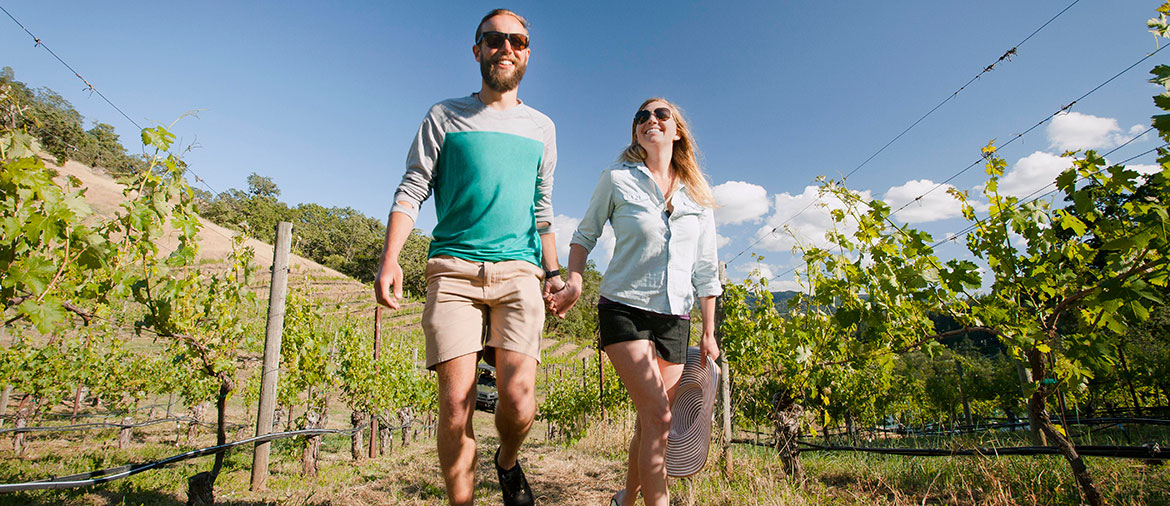 couple walking outside holding hands in the vineyards