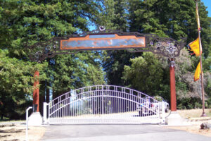 Double Driveway Gate With Arch – 008