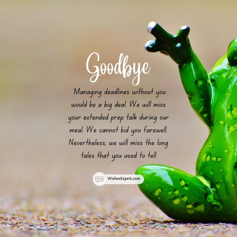 Funny Goodbye Quotes For Coworkers