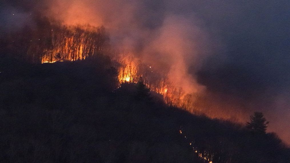 Crews from multiple counties battling large forest fire in Jefferson County (AerialJimPA)