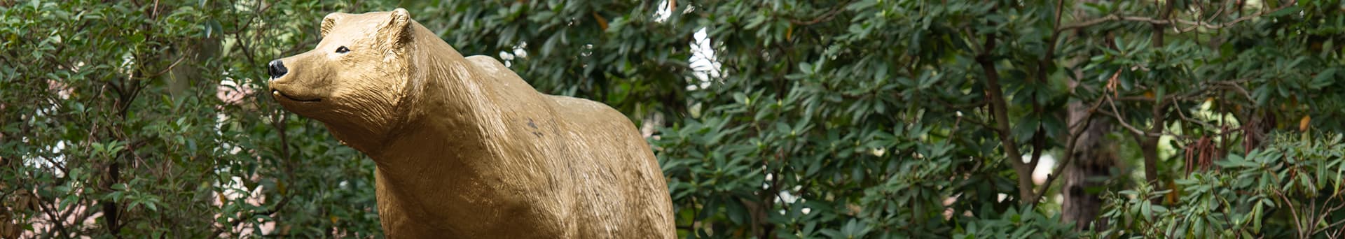 bear statue in front of shrubbery