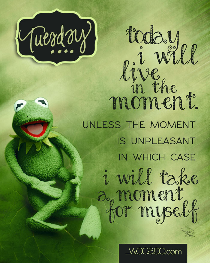 Today I will live in the moment