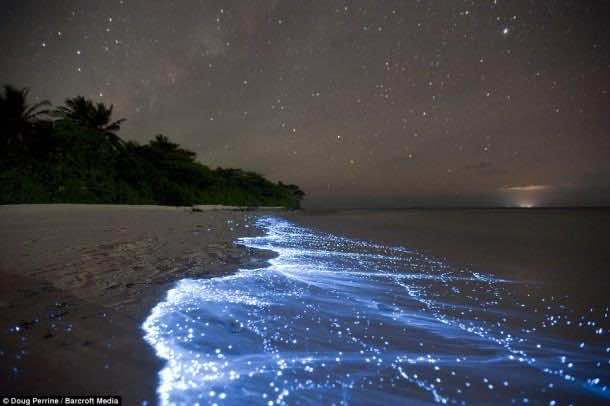 Glowing Beach