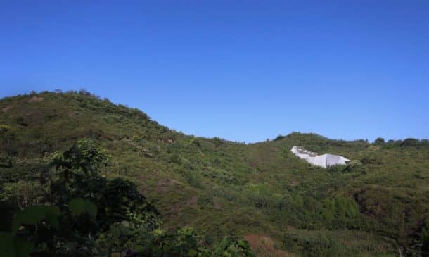 the-dinosaur-egg-museum-in-china-is-built-from-bamboo-and-concrete_image-1