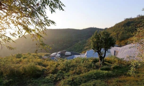 the-dinosaur-egg-museum-in-china-is-built-from-bamboo-and-concrete_image-2