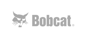 bobcat