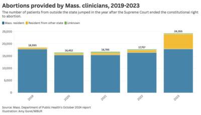 Massachusetts data on the number of abortions performed by state clinicians. (Amy Gorel/WBUR)