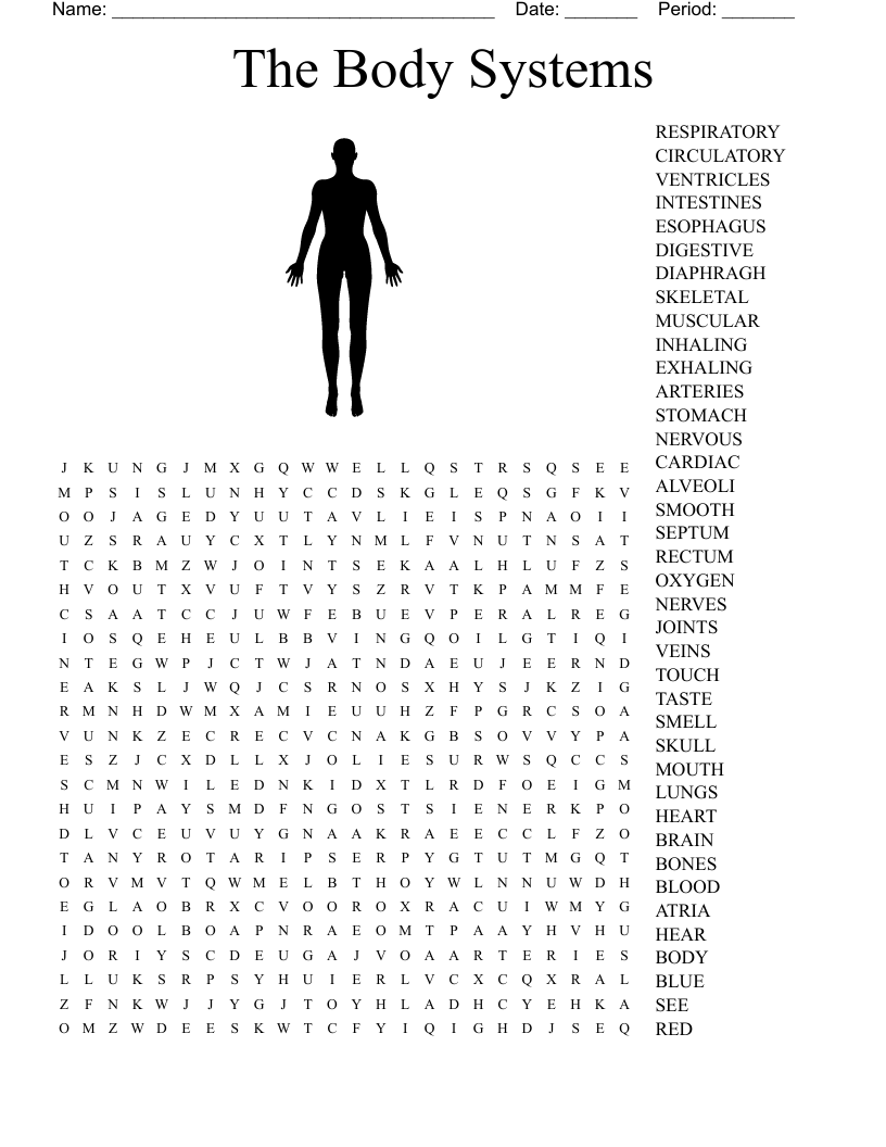 The Body Systems Word Search Answers - Word Search Printable