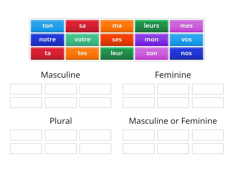 Possessive Adjectives: Sort - Group sort