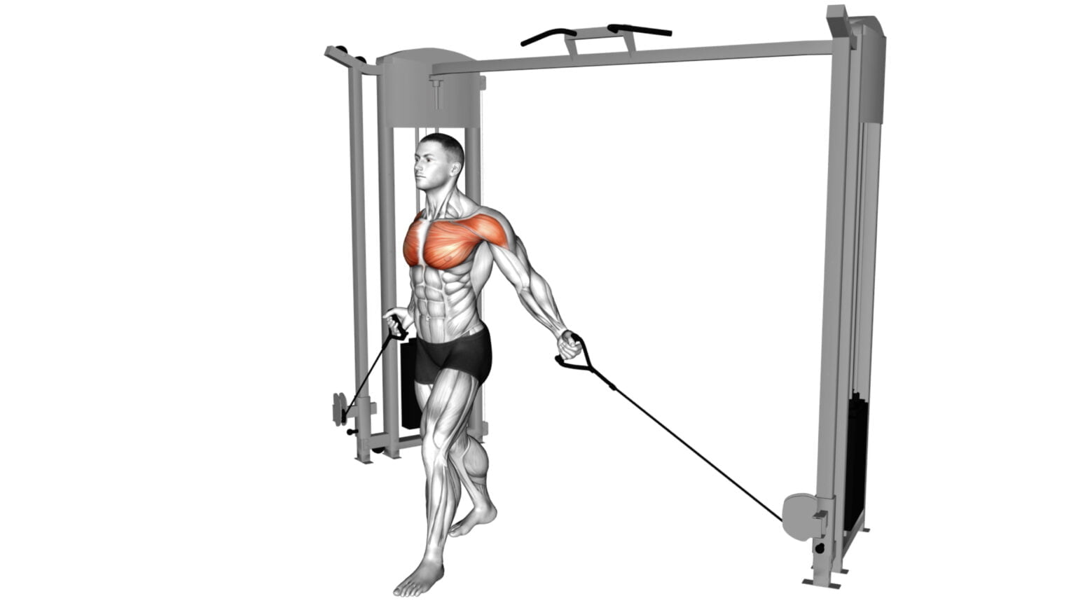 8 Cable Trap Exercises To Sculpt Strong And Defined Traps - Workout Guru