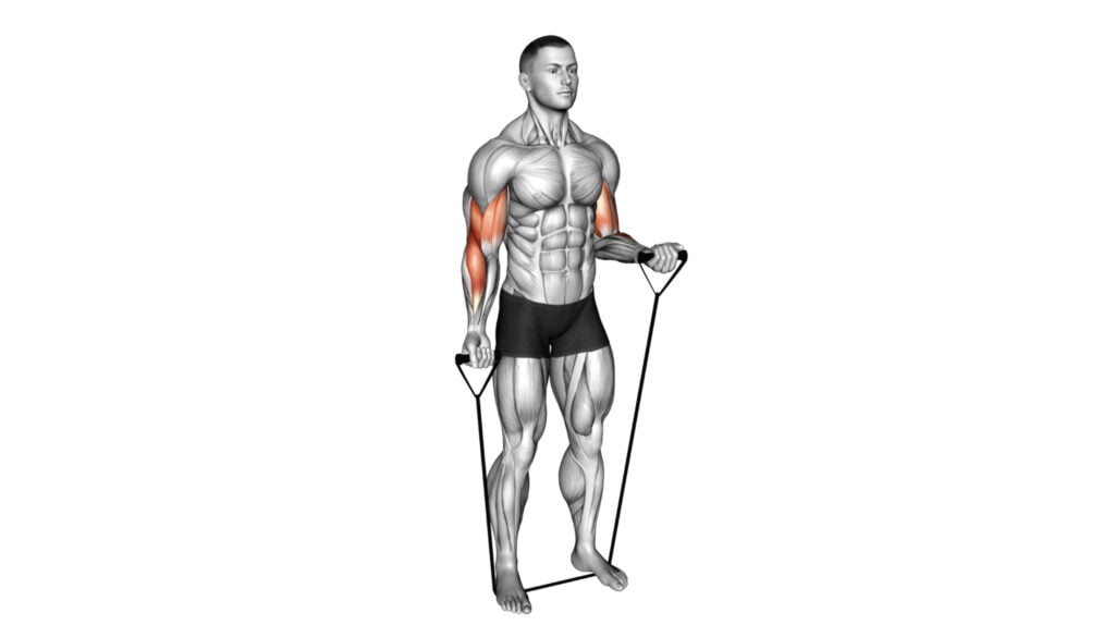 8 Cable Trap Exercises To Sculpt Strong And Defined Traps - Workout Guru