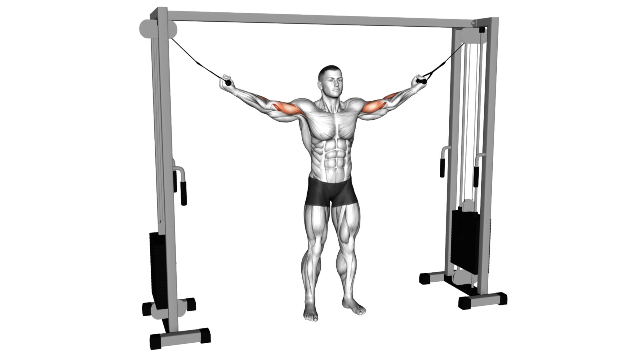 8 Cable Trap Exercises To Sculpt Strong And Defined Traps - Workout Guru