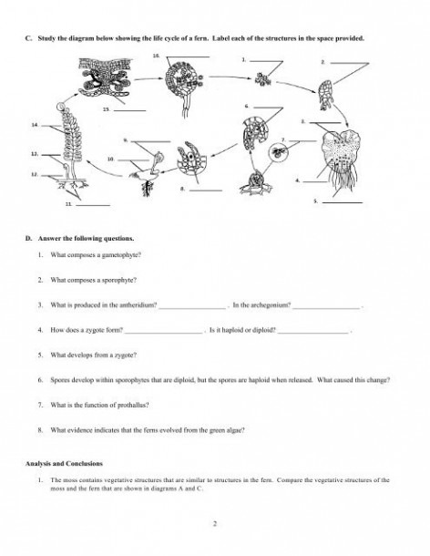 C  Study The Diagram Belo