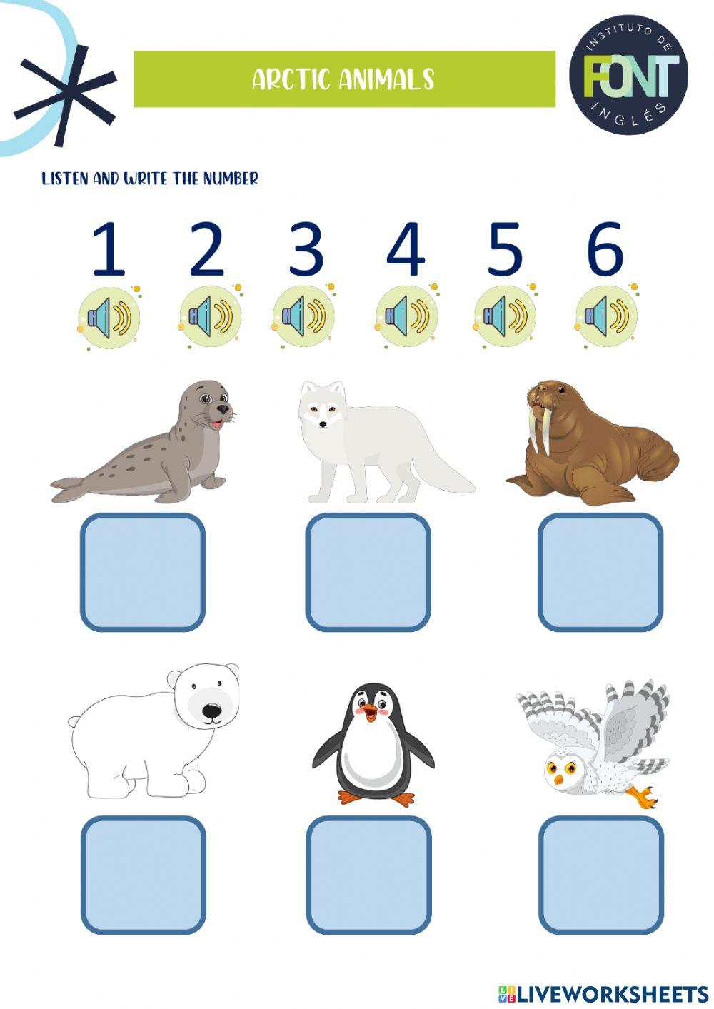 Arctic Animals | Polar Animals Activities | Winter Worksheets ...