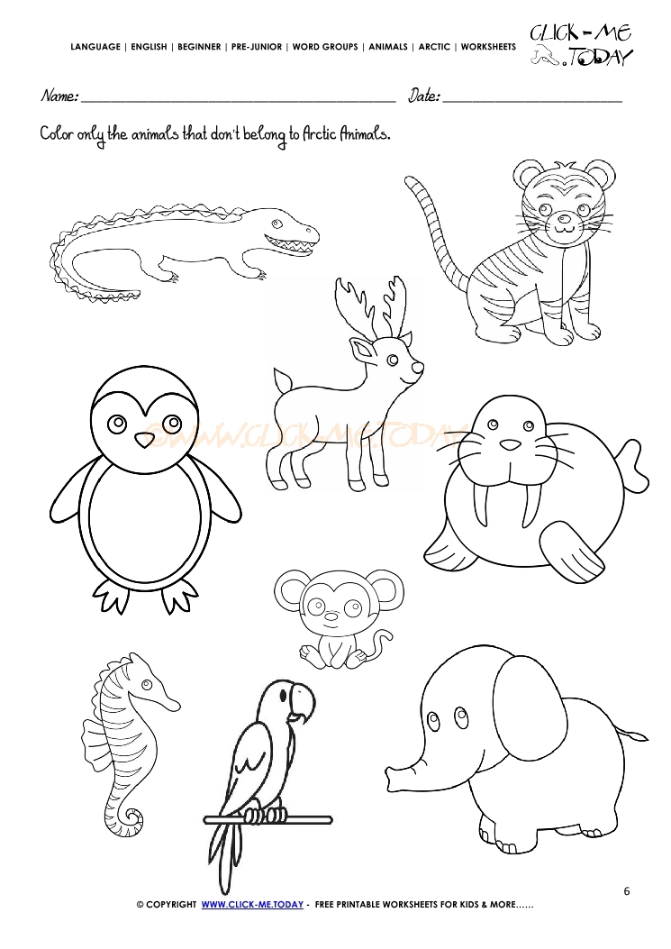 Arctic Animals Worksheet for 2nd - 3rd Grade | Lesson Planet ...