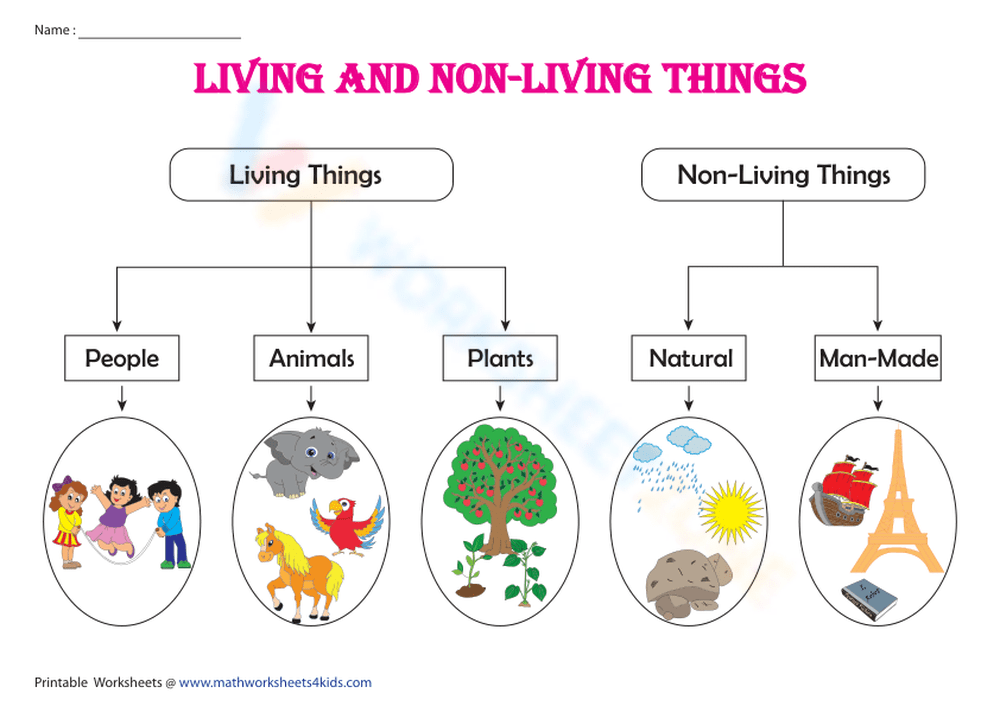 Living And Non-living Things: Classification Chart Worksheet ...