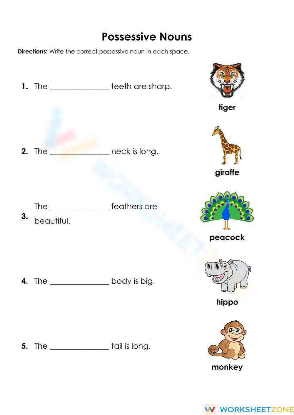 Free possesive nouns worksheet, Download Free possesive nouns worksheet ...