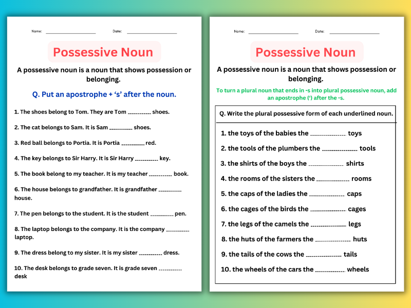 Possessive Nouns Worksheets With Answers - Digital and Printable ...