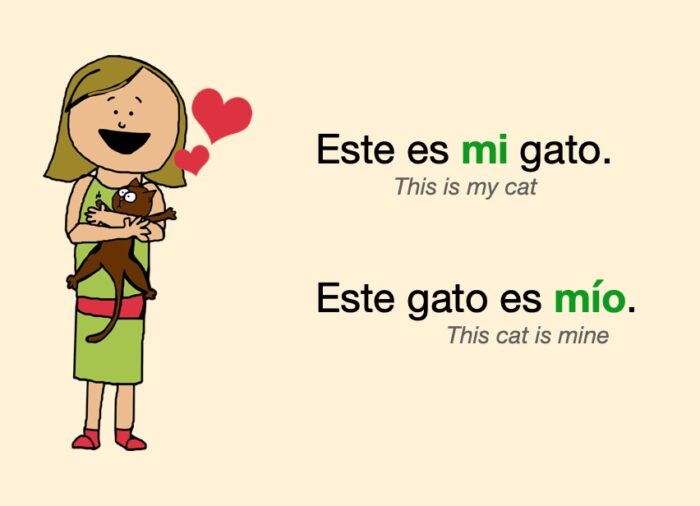 Spanish POSSESSIVE Adjectives - Learn and PRACTICE - Worksheets Library